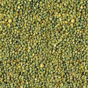 Green Millet